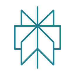 perplexity ai